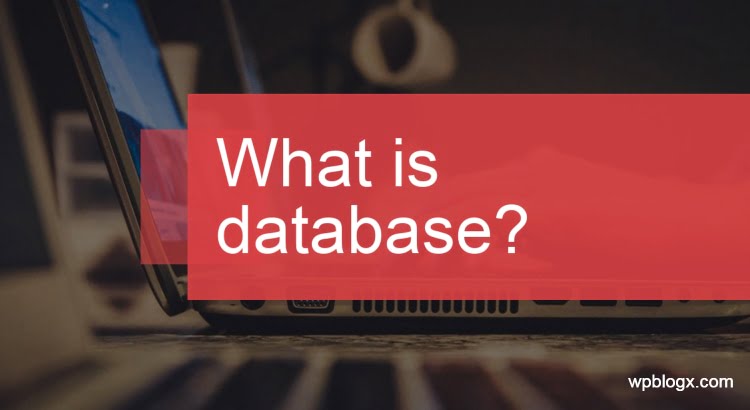 What Is Database Its Types And Pros Cons WPBlogX