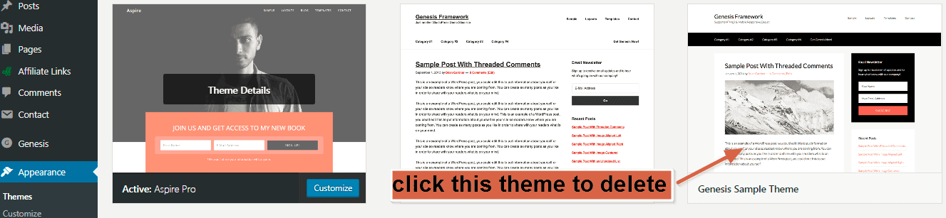 delete the wordpress theme from your WP dashboard 