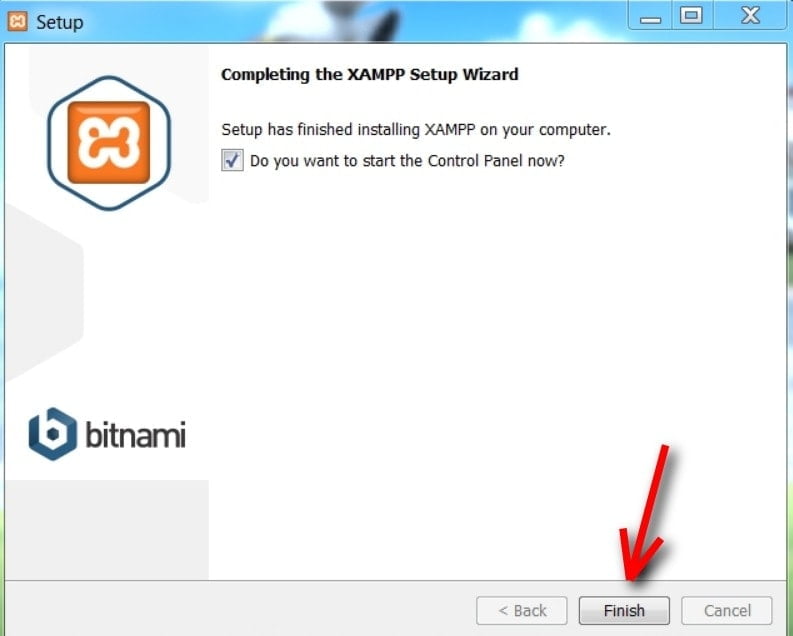 xampp install servcies