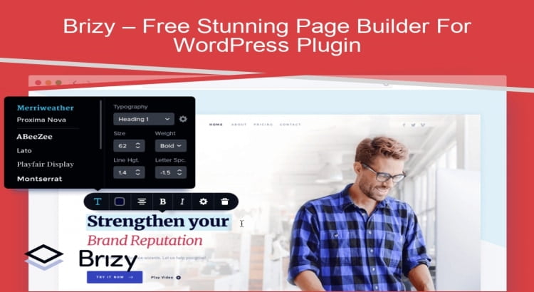 Brizy Page Builder features