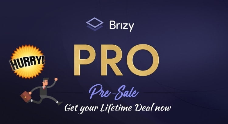 Brizy Pro Review