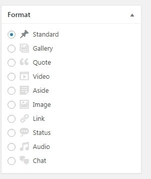 Adding parameters to post format in WordPress