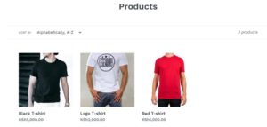 shopify products info