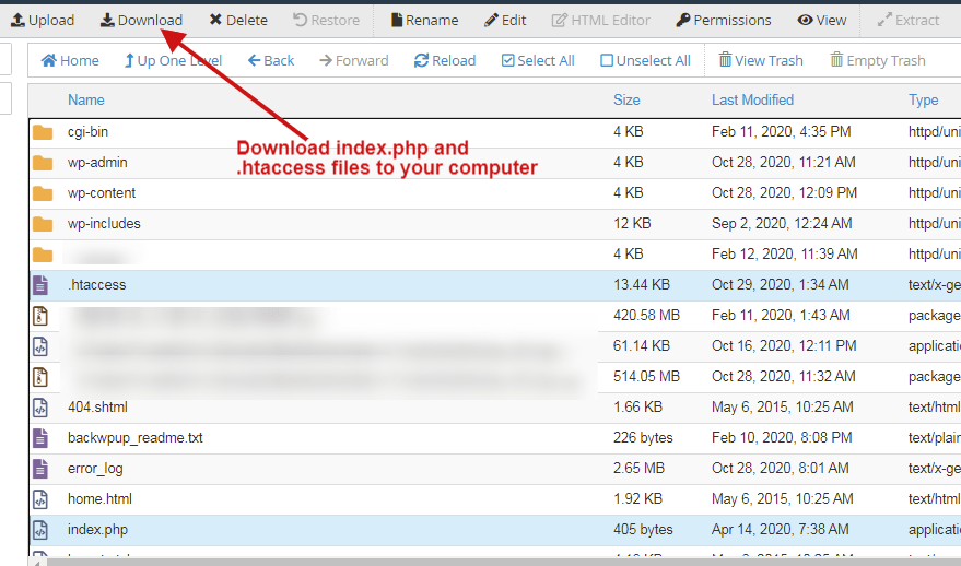 download index.php and .htaccess files to your computer